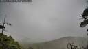./images/calvert/fitz-hugh-hecate/20260518/fitz-hugh-hecate20260518_170001M.jpg