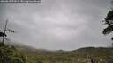 ./images/calvert/fitz-hugh-hecate/20260518/fitz-hugh-hecate20260518_171001M.jpg