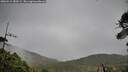 ./images/calvert/fitz-hugh-hecate/20260518/fitz-hugh-hecate20260518_180501M.jpg