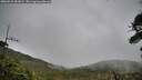 ./images/calvert/fitz-hugh-hecate/20260518/fitz-hugh-hecate20260518_181002M.jpg