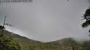 ./images/calvert/fitz-hugh-hecate/20260518/fitz-hugh-hecate20260518_181501M.jpg