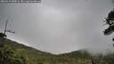 ./images/calvert/fitz-hugh-hecate/20260518/fitz-hugh-hecate20260518_184002M.jpg