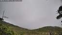./images/calvert/fitz-hugh-hecate/20260518/fitz-hugh-hecate20260518_190001M.jpg
