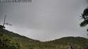 ./images/calvert/fitz-hugh-hecate/20260518/fitz-hugh-hecate20260518_190502M.jpg