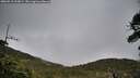./images/calvert/fitz-hugh-hecate/20260518/fitz-hugh-hecate20260518_192001M.jpg