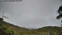 ./images/calvert/fitz-hugh-hecate/20260518/fitz-hugh-hecate20260518_194001M.jpg