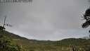 ./images/calvert/fitz-hugh-hecate/20260518/fitz-hugh-hecate20260518_194501M.jpg