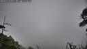 ./images/calvert/fitz-hugh-hecate/20260518/fitz-hugh-hecate20260518_205002M.jpg