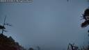 ./images/calvert/fitz-hugh-hecate/20260518/fitz-hugh-hecate20260518_214501M.jpg