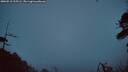 ./images/calvert/fitz-hugh-hecate/20260518/fitz-hugh-hecate20260518_215501M.jpg