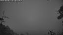 ./images/calvert/fitz-hugh-hecate/20260518/fitz-hugh-hecate20260518_220501M.jpg
