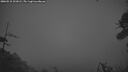 ./images/calvert/fitz-hugh-hecate/20260518/fitz-hugh-hecate20260518_221001M.jpg