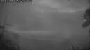 ./images/calvert/fitz-hugh-hecate/20260519/fitz-hugh-hecate20260519_045501M.jpg