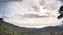 ./images/calvert/fitz-hugh-hecate/20260519/fitz-hugh-hecate20260519_082501M.jpg