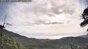 ./images/calvert/fitz-hugh-hecate/20260519/fitz-hugh-hecate20260519_083501M.jpg