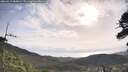 ./images/calvert/fitz-hugh-hecate/20260519/fitz-hugh-hecate20260519_085001M.jpg