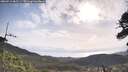 ./images/calvert/fitz-hugh-hecate/20260519/fitz-hugh-hecate20260519_085501M.jpg