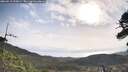 ./images/calvert/fitz-hugh-hecate/20260519/fitz-hugh-hecate20260519_090001M.jpg