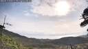 ./images/calvert/fitz-hugh-hecate/20260519/fitz-hugh-hecate20260519_090501M.jpg