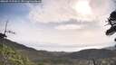 ./images/calvert/fitz-hugh-hecate/20260519/fitz-hugh-hecate20260519_091001M.jpg