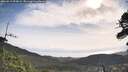 ./images/calvert/fitz-hugh-hecate/20260519/fitz-hugh-hecate20260519_093001M.jpg