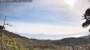 ./images/calvert/fitz-hugh-hecate/20260519/fitz-hugh-hecate20260519_095501M.jpg
