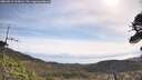./images/calvert/fitz-hugh-hecate/20260519/fitz-hugh-hecate20260519_100001M.jpg