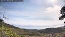 ./images/calvert/fitz-hugh-hecate/20260519/fitz-hugh-hecate20260519_101501M.jpg