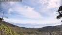 ./images/calvert/fitz-hugh-hecate/20260519/fitz-hugh-hecate20260519_104001M.jpg