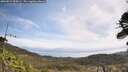 ./images/calvert/fitz-hugh-hecate/20260519/fitz-hugh-hecate20260519_105001M.jpg