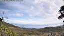 ./images/calvert/fitz-hugh-hecate/20260519/fitz-hugh-hecate20260519_110502M.jpg