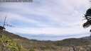 ./images/calvert/fitz-hugh-hecate/20260519/fitz-hugh-hecate20260519_111501M.jpg