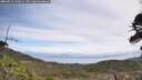 ./images/calvert/fitz-hugh-hecate/20260519/fitz-hugh-hecate20260519_113002M.jpg
