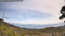 ./images/calvert/fitz-hugh-hecate/20260519/fitz-hugh-hecate20260519_115002M.jpg