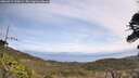 ./images/calvert/fitz-hugh-hecate/20260519/fitz-hugh-hecate20260519_120002M.jpg