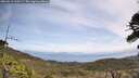 ./images/calvert/fitz-hugh-hecate/20260519/fitz-hugh-hecate20260519_120501M.jpg