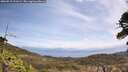 ./images/calvert/fitz-hugh-hecate/20260519/fitz-hugh-hecate20260519_121001M.jpg