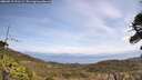 ./images/calvert/fitz-hugh-hecate/20260519/fitz-hugh-hecate20260519_121501M.jpg
