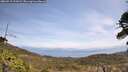 ./images/calvert/fitz-hugh-hecate/20260519/fitz-hugh-hecate20260519_122001M.jpg