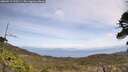 ./images/calvert/fitz-hugh-hecate/20260519/fitz-hugh-hecate20260519_123501M.jpg