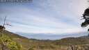 ./images/calvert/fitz-hugh-hecate/20260519/fitz-hugh-hecate20260519_125001M.jpg