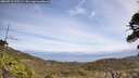 ./images/calvert/fitz-hugh-hecate/20260519/fitz-hugh-hecate20260519_125501M.jpg