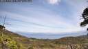 ./images/calvert/fitz-hugh-hecate/20260519/fitz-hugh-hecate20260519_130001M.jpg
