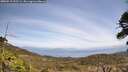 ./images/calvert/fitz-hugh-hecate/20260519/fitz-hugh-hecate20260519_131501M.jpg