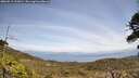 ./images/calvert/fitz-hugh-hecate/20260519/fitz-hugh-hecate20260519_132001M.jpg