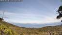./images/calvert/fitz-hugh-hecate/20260519/fitz-hugh-hecate20260519_133001M.jpg