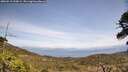 ./images/calvert/fitz-hugh-hecate/20260519/fitz-hugh-hecate20260519_134001M.jpg