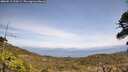 ./images/calvert/fitz-hugh-hecate/20260519/fitz-hugh-hecate20260519_134501M.jpg