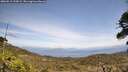 ./images/calvert/fitz-hugh-hecate/20260519/fitz-hugh-hecate20260519_135002M.jpg