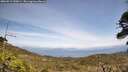 ./images/calvert/fitz-hugh-hecate/20260519/fitz-hugh-hecate20260519_140001M.jpg